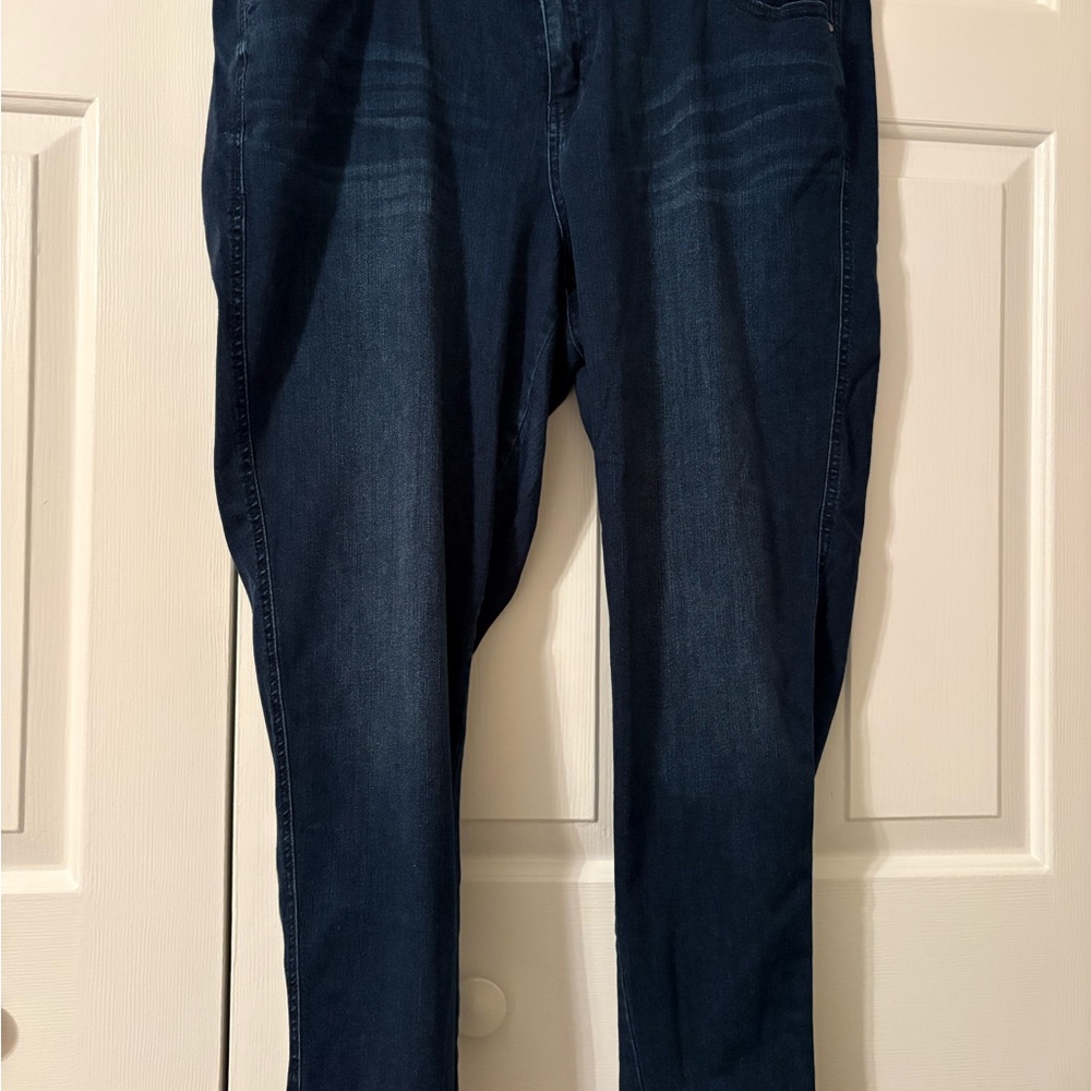Lane Bryant Super-Stretch Skinny Jeans in Deep Blue